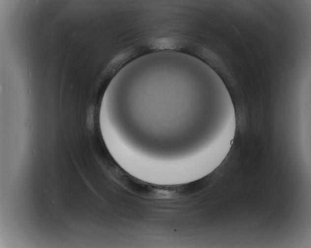 X0000103970167200810311532