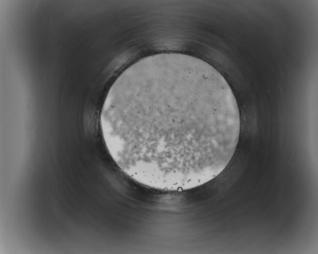 X0000103970168200810311532
