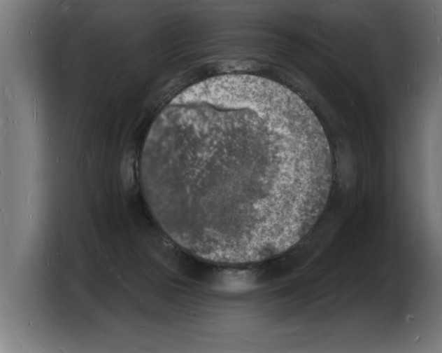 X0000103970169200810311532