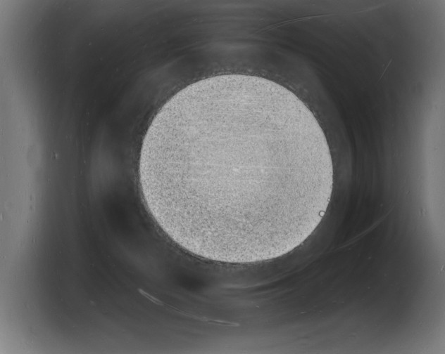 X0000103970174200810311532