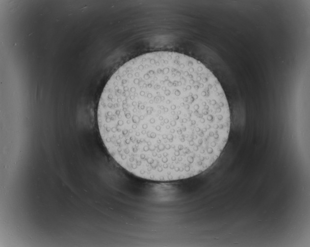 X0000103970183200810311532
