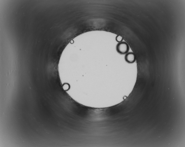 X0000103970184200810311532