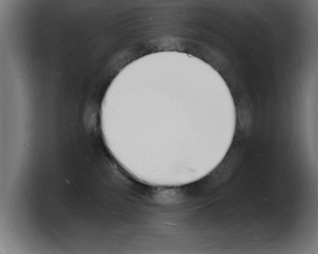 X0000103970185200810311532