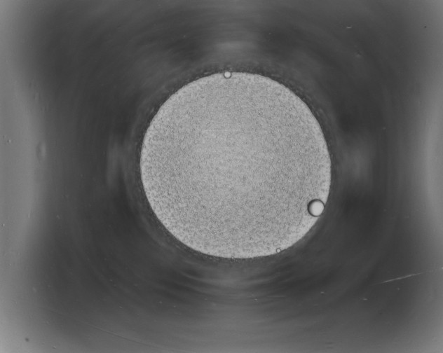 X0000103970186200810311532