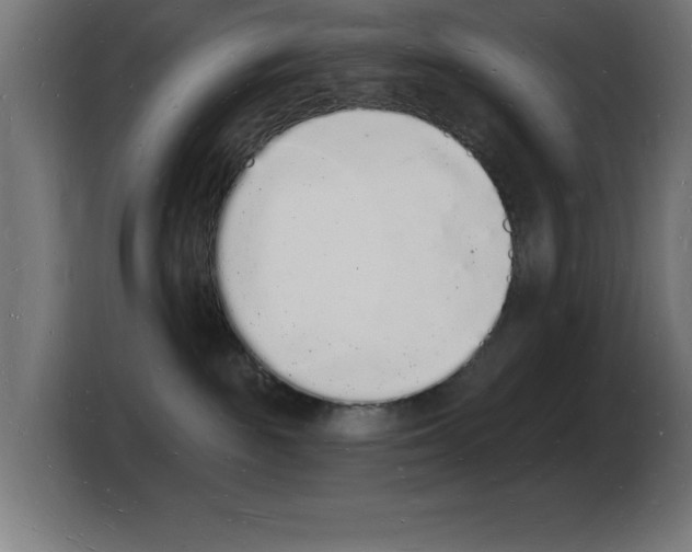 X0000103970189200810311532
