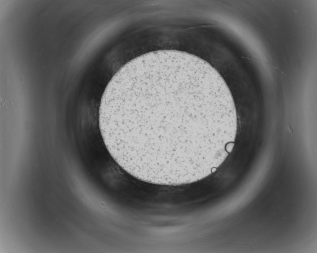 X0000103970190200810311532