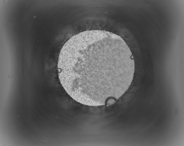 X0000103970192200810311532
