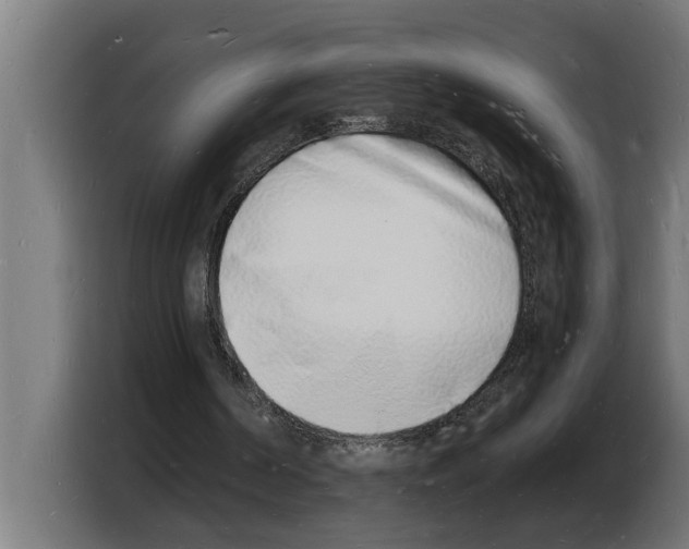 X0000103970194200810311531