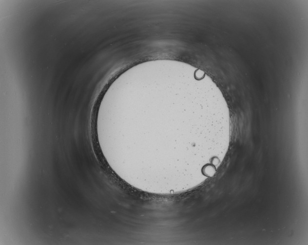 X0000103970195200810311531