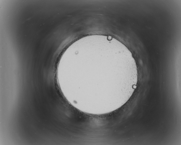 X0000103970199200810311531