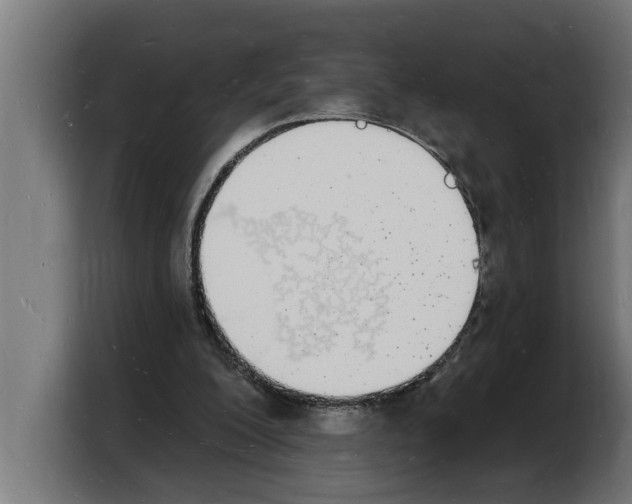 X0000103970200200810311531