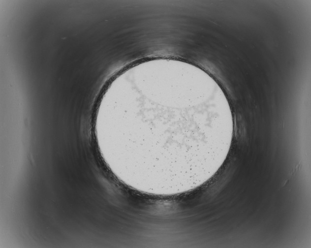 X0000103970204200810311531