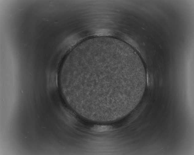 X0000103970205200810311531