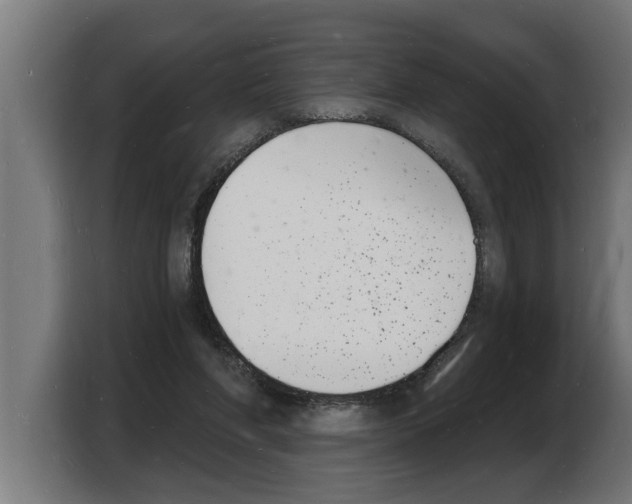 X0000103970206200810311531