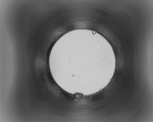X0000103970207200810311531