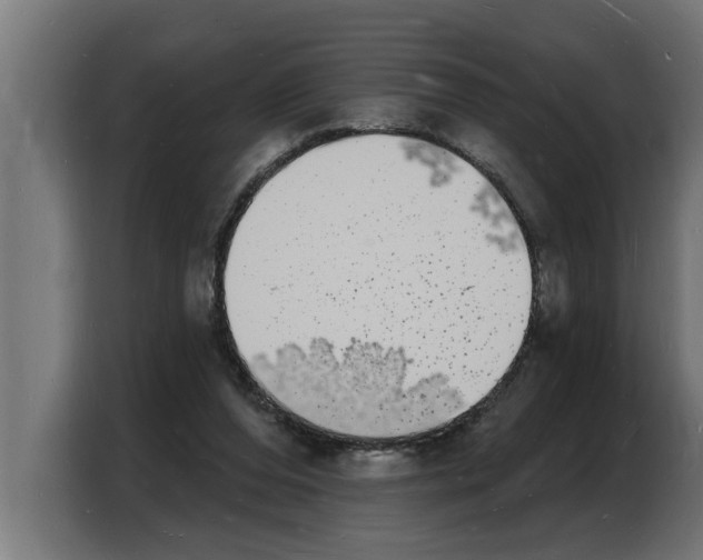 X0000103970208200810311531