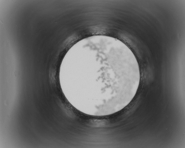 X0000103970209200810311531