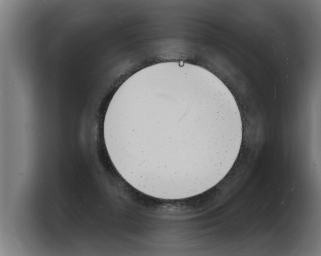 X0000103970211200810311531