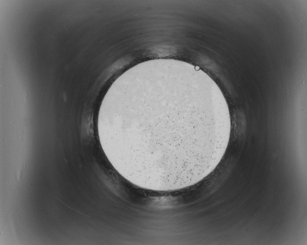 X0000103970212200810311531