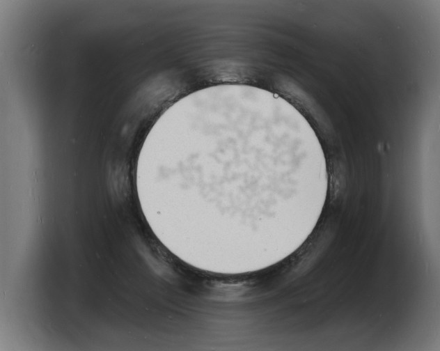 X0000103970213200810311531