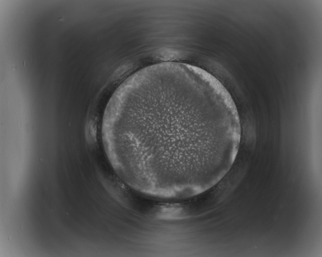 X0000103970214200810311531