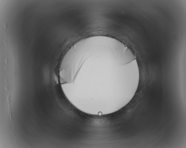 X0000103970215200810311531