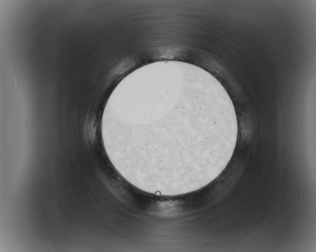 X0000103970216200810311531