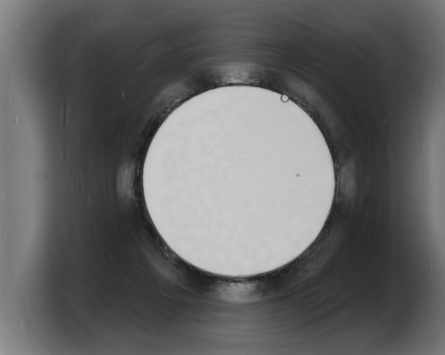 X0000103970217200810311531