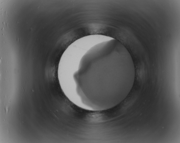 X0000103970219200810311531