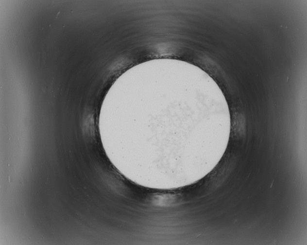 X0000103970220200810311531
