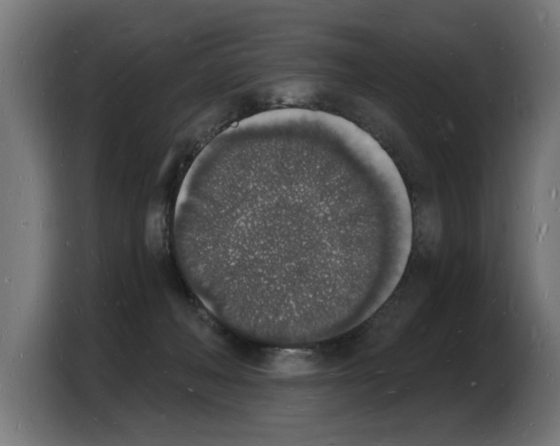 X0000103970222200810311531
