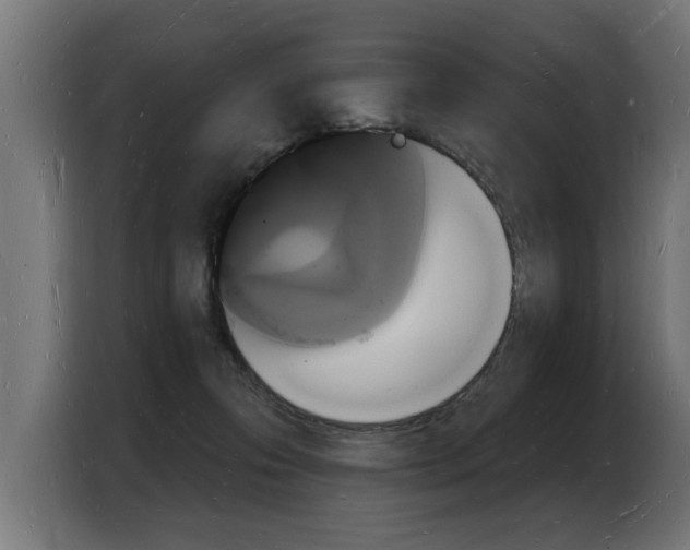 X0000103970223200810311531