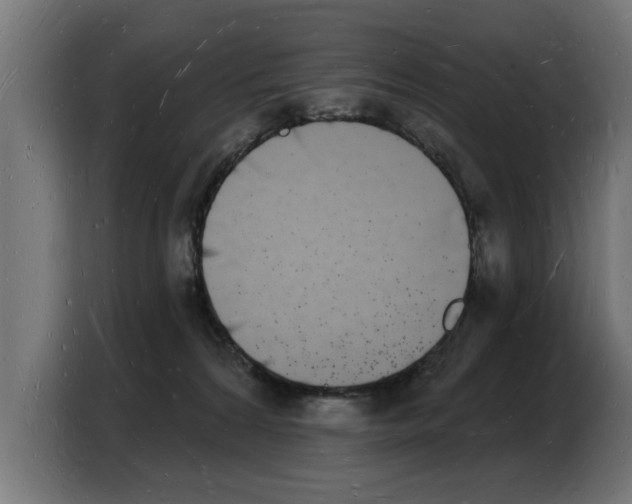 X0000103970224200810311531