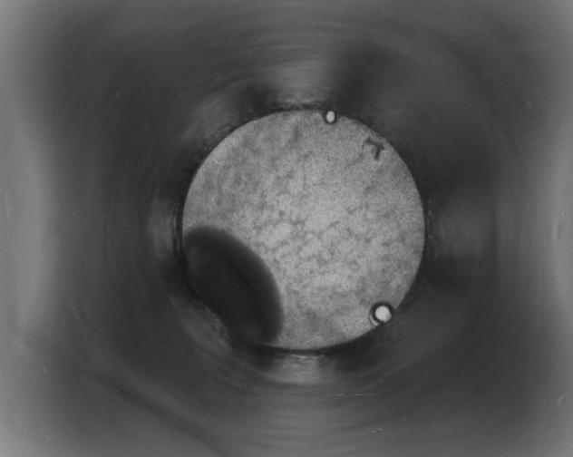 X0000103970227200810311531
