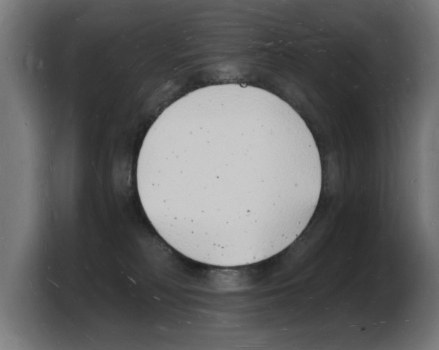 X0000103970230200810311531