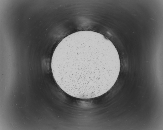 X0000103970232200810311531
