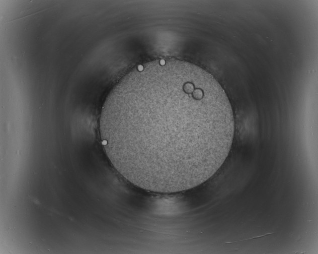 X0000103970235200810311531