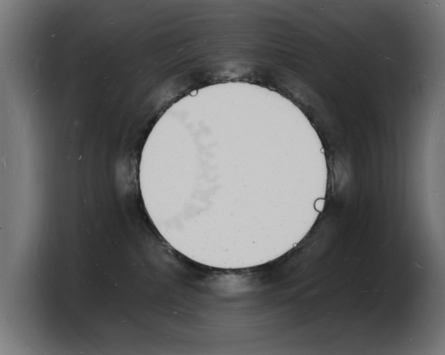 X0000103970236200810311531