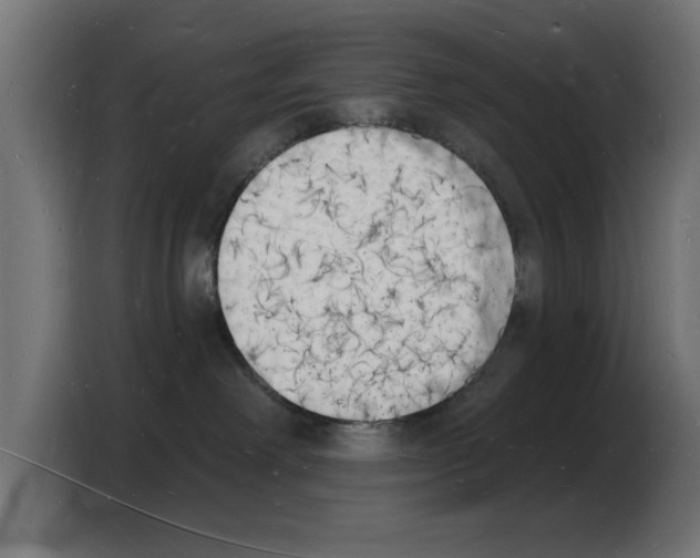 X0000103970238200810311531