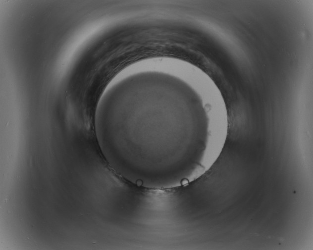 X0000103970239200810311531