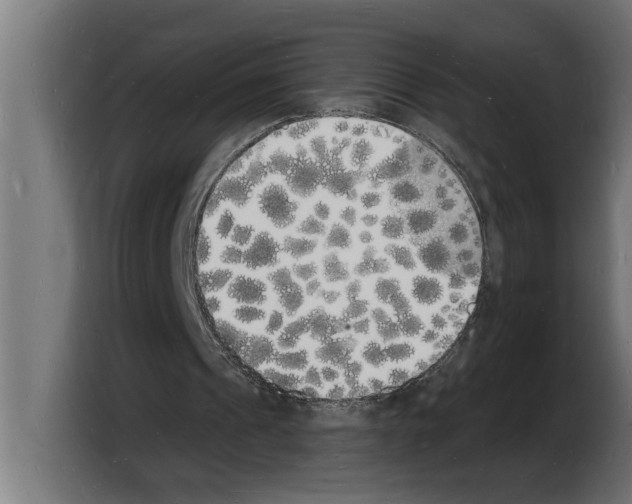 X0000103970241200810311530