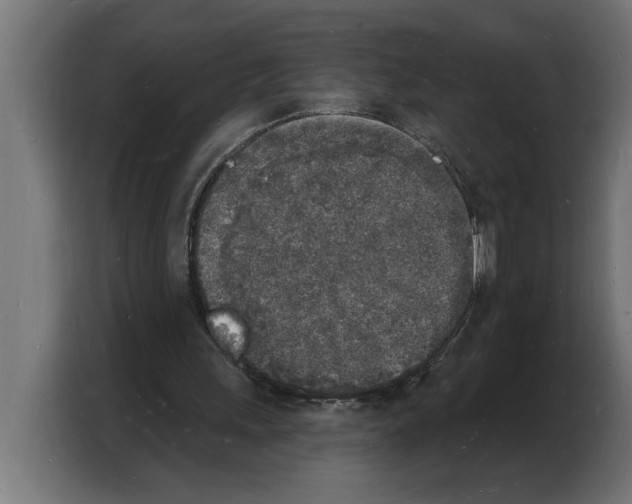 X0000103970243200810311530