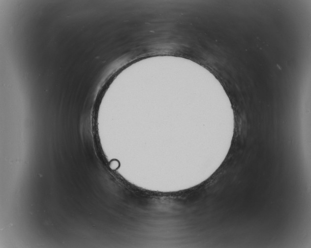 X0000103970244200810311530