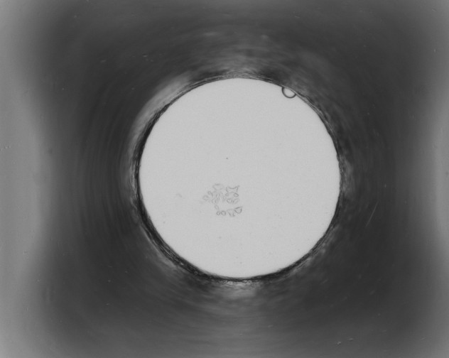 X0000103970245200810311530