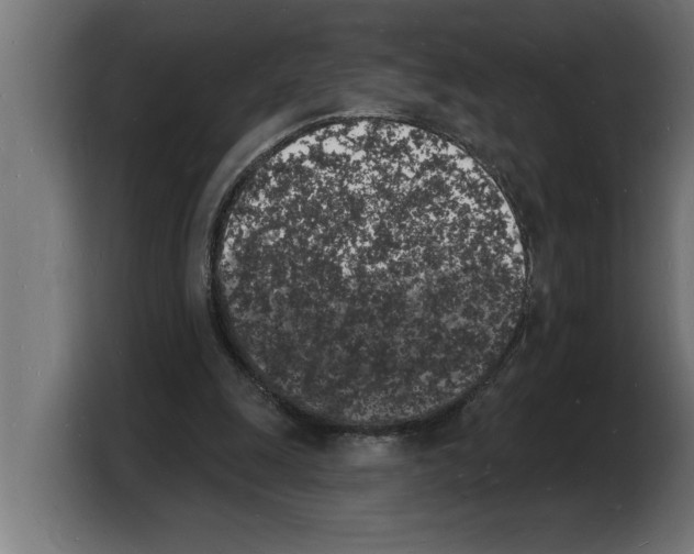 X0000103970247200810311530