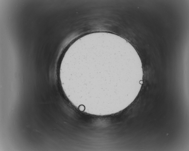 X0000103970248200810311530