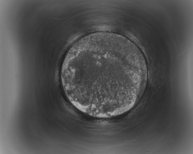 X0000103970249200810311530