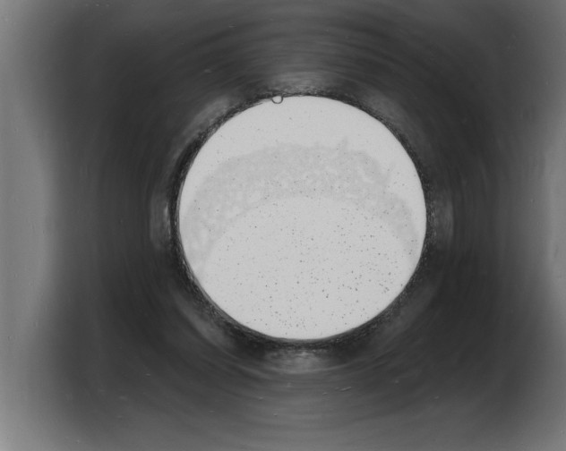 X0000103970254200810311530