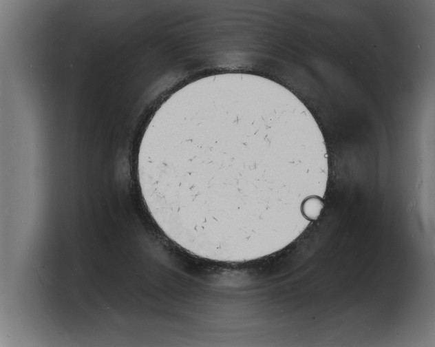 X0000103970256200810311530