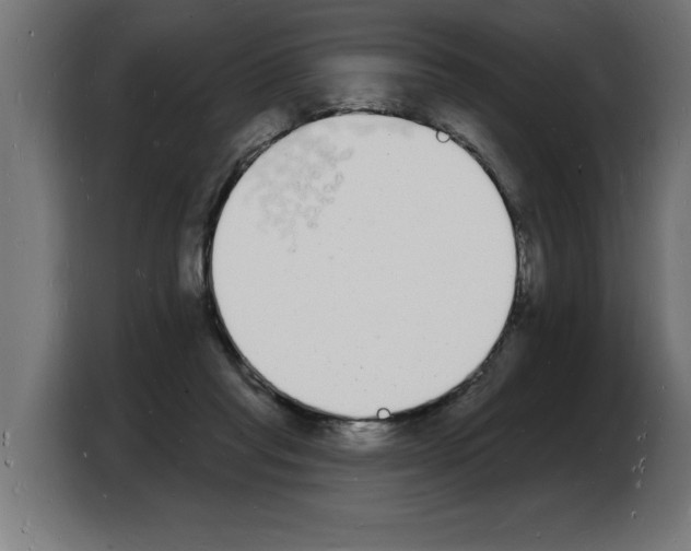 X0000103970261200810311530